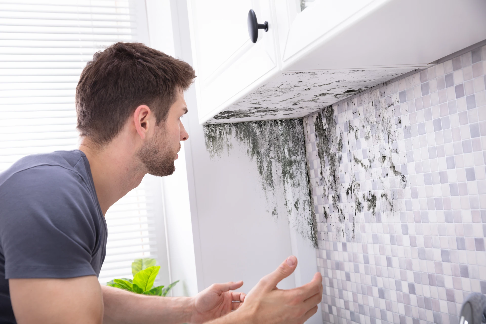 Mould