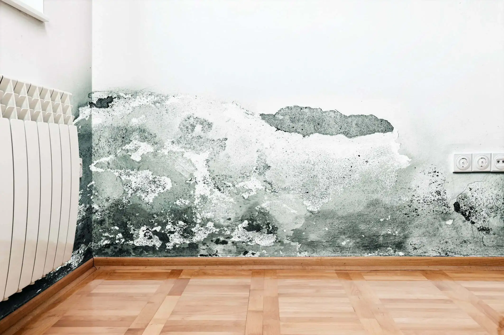 Mould