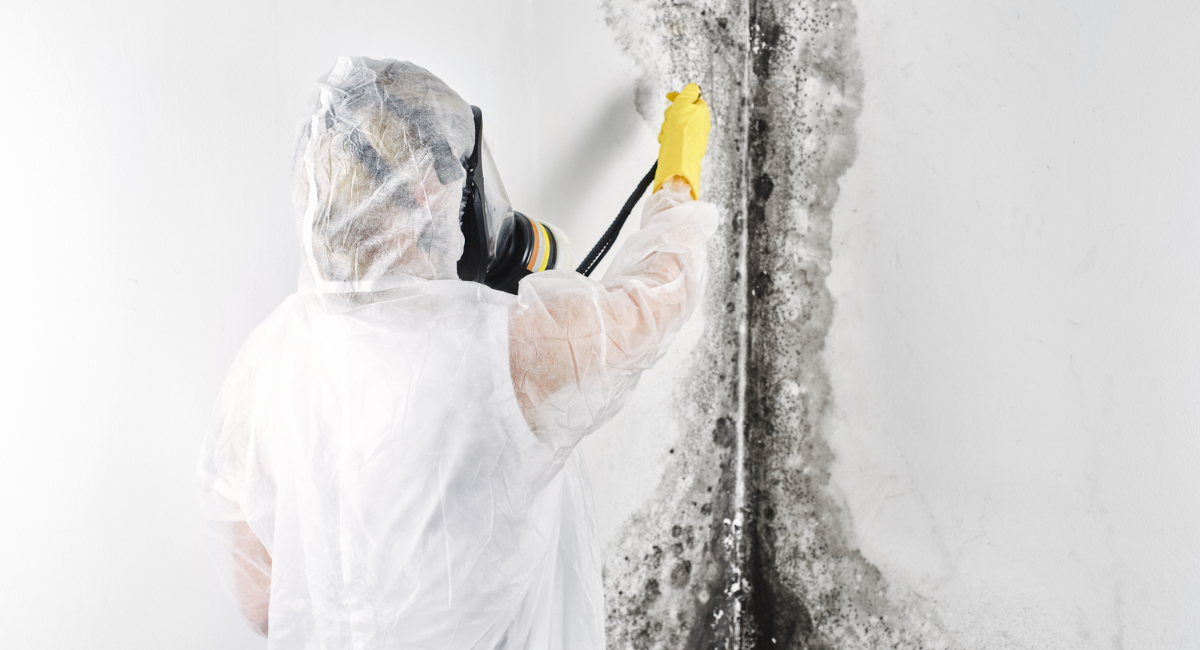 mould treatment 