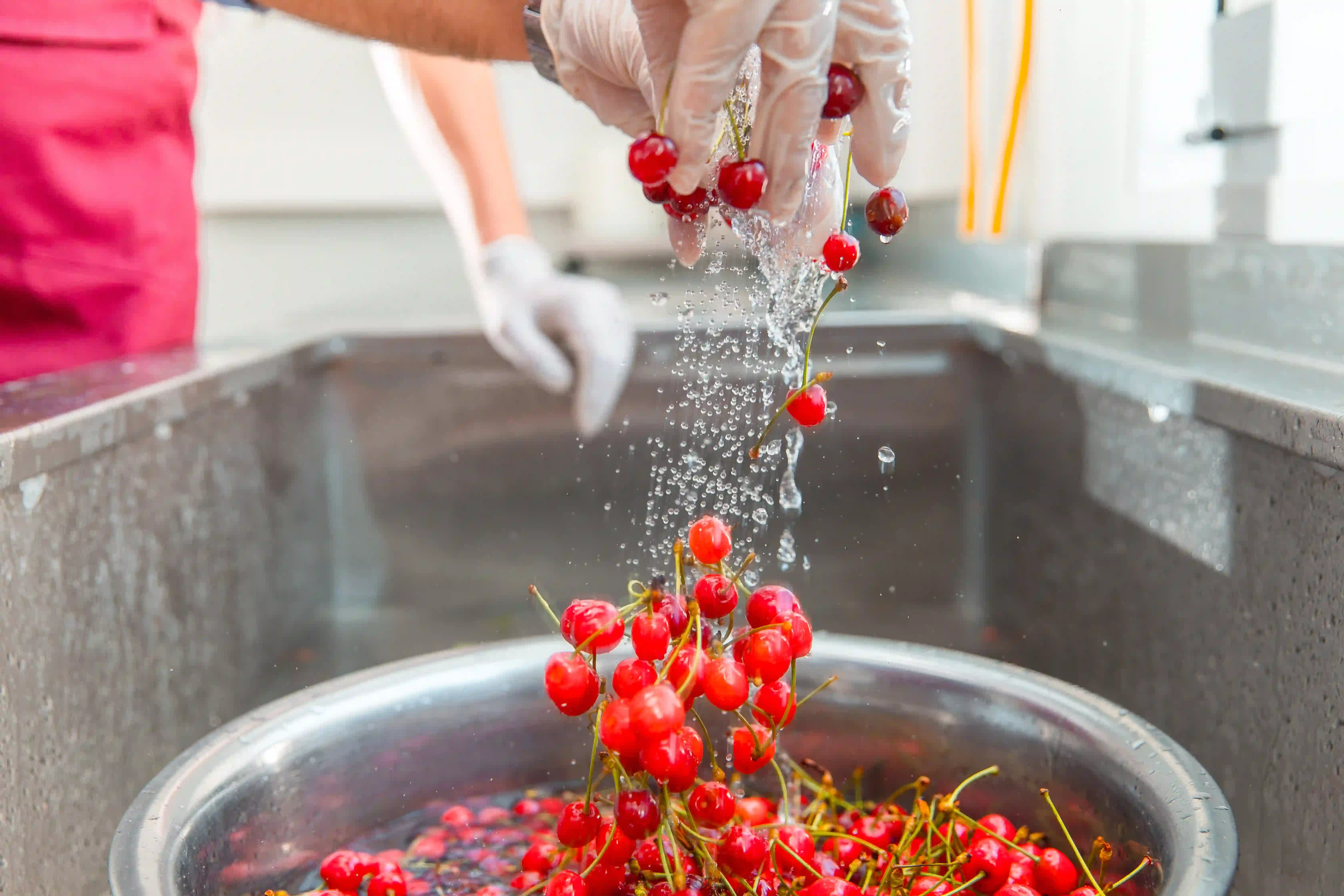 washing berries